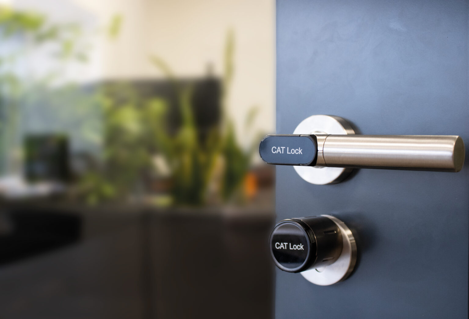 CAT Lock - C.A.T. Control Systems